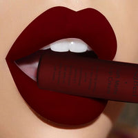 Qibest Brand Makeup Matte Lipstick